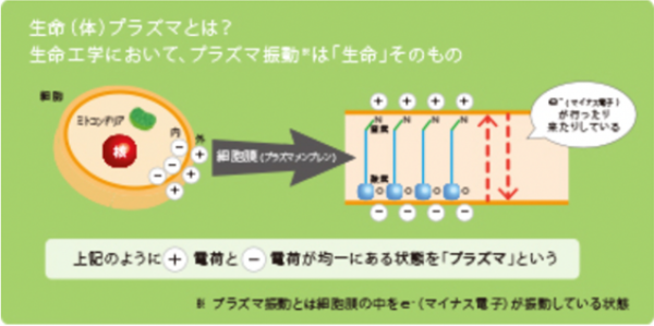 骨法はメドベッドを超えるか！？