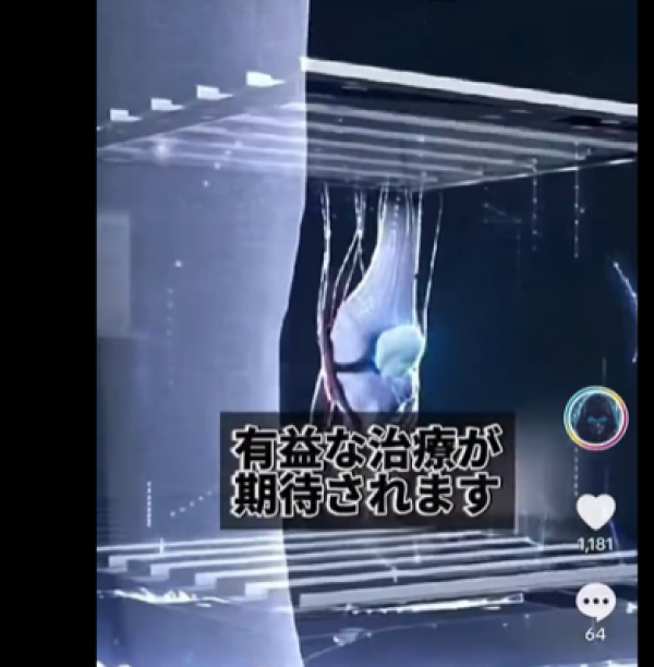 重要情報　GESARA,メドベッド　